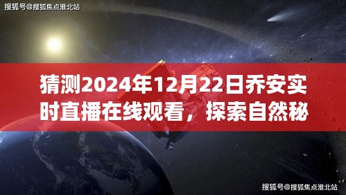 乔安直播之旅，探索自然秘境，共赴2024年12月22日直播盛宴