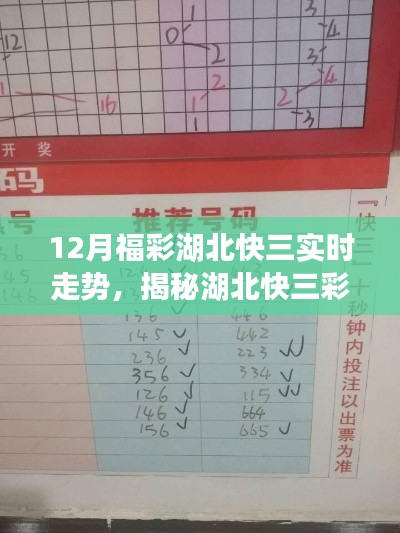 揭秘湖北福彩快三走势分析，12月彩票走势预测需注意违法犯罪风险警告