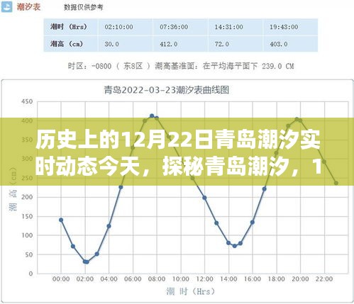 探秘青岛潮汐，今日潮汐动态与小巷独特风味揭秘（12月22日）