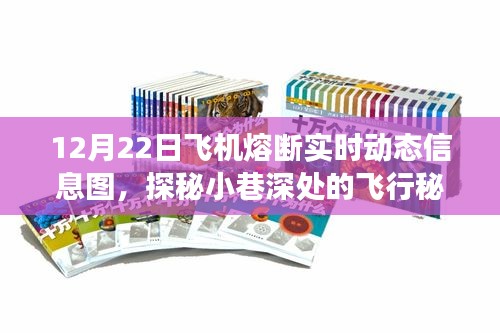 揭秘飞行秘密，12月22日飞机熔断实时动态信息图与独特小店之旅探秘小巷深处的飞行秘密