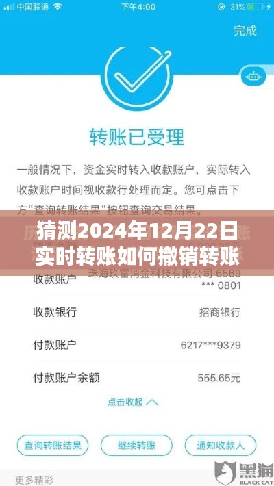 逐步指南，如何撤销2024年实时转账，初学者与进阶用户适用技巧揭秘