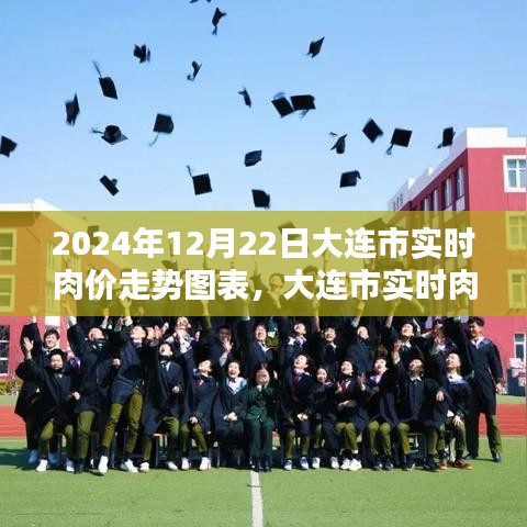 大连市实时肉价走势图表分析，聚焦肉价波动与各方观点（2024年12月22日）