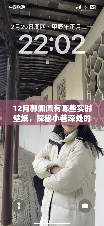 探秘郭佩佩十二月实时壁纸，小巷深处的宝藏与独家盛宴