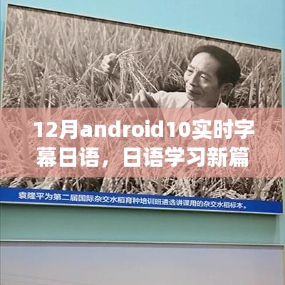 Android 10实时字幕日语学习，拥抱变化，自信闪耀的日语学习新篇章！