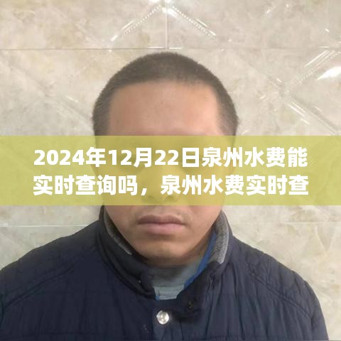 泉州水费实时查询系统的发展与展望，未来变革展望至2024年及实时查询功能的实现前景