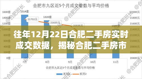 揭秘合肥二手房市场，实时成交数据与小巷深处的成交奇迹（十二月二十二日）