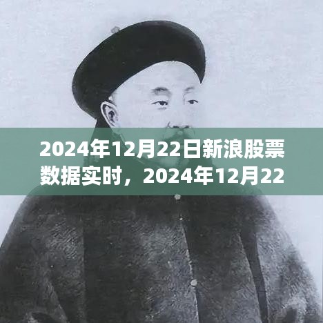 新浪股票实时数据解析，洞悉市场动态，把握投资机会（2024年12月22日）