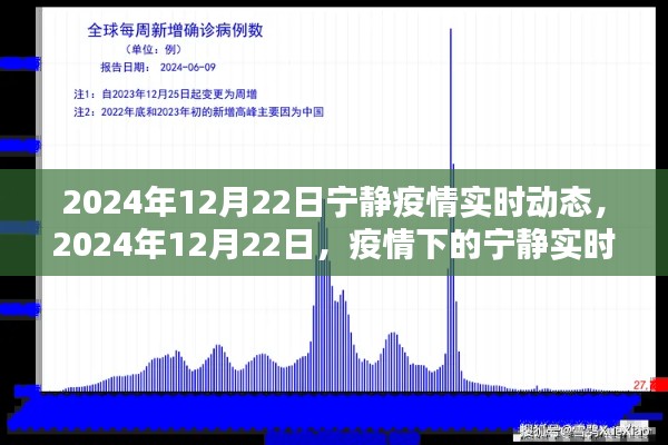 疫情下的宁静，2024年12月22日实时动态观察