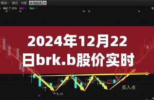 2024年12月22日BRK.B股价实时行情分析与展望