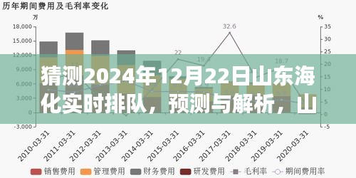 2024年12月22日山东海化实时排队现象展望与解析