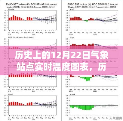 历史上的12月22日气象站点实时温度图表深度解析与观点阐述