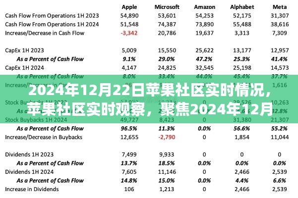 2024年12月22日苹果社区实况观察，独特视角聚焦当日动态