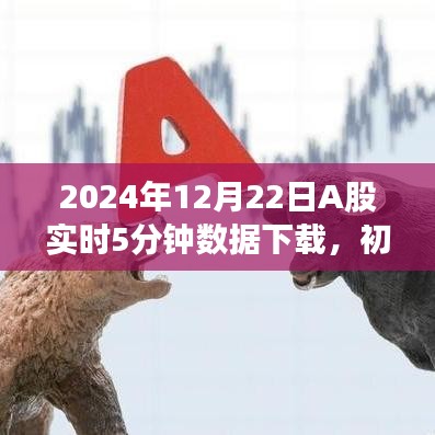 2024年12月22日A股实时5分钟数据下载指南，初学者进阶教程