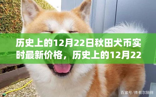 秋田犬币实时价格深度解析，历史走势回顾与未来市场预测（最新日期，12月22日）