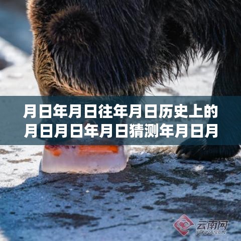 独家解析，穿越时空的云南西瓜行情分析——历史、现状与未来走势预测图揭秘