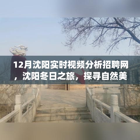 沈阳实时视频分析招聘网，冬日之旅探寻自然美景，启程心灵的宁静之旅