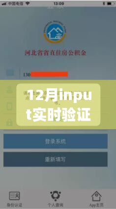 揭秘十二月超强Input实时验证秘籍，轻松应对挑战，小红书分享实战攻略！