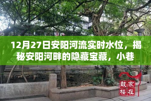 揭秘安阳河畔隐藏宝藏，实时水位监测与小巷特色小店探秘之旅