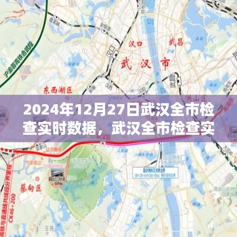 武汉全市检查实时数据报告深度解析，2024年12月27日实时数据报告及解析