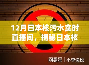 揭秘日本核污水实时直播间的科技力量，守护未来生活的新篇章