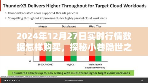 探秘小巷隐世之宝，揭秘2024年12月27日实时行情数据下的独特购物体验与购买指南