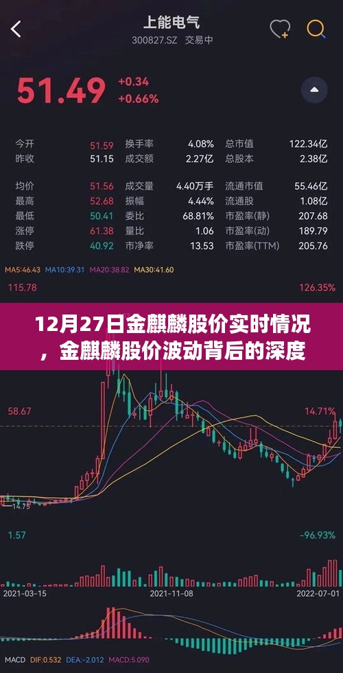 聚焦实时动态，金麒麟股价波动背后的深度解读与最新动态分析（十二月二十七日）