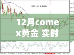 12月Comex黄金实时行情新浪网查询攻略，新手也能轻松掌握