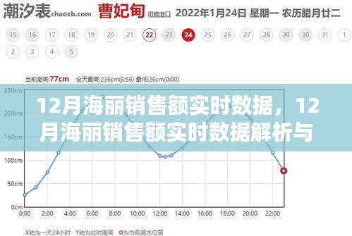 从入门到进阶，12月海丽销售额实时数据解析与运用指南