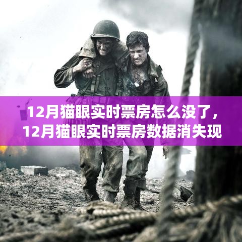 解析，为何猫眼电影12月实时票房数据消失现象？