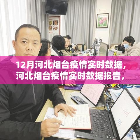 河北烟台疫情实时数据报告，深度解析与案例分析