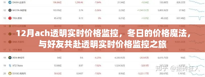 12月实时价格监控之旅，透明、透明，与好友共探冬日价格魔法