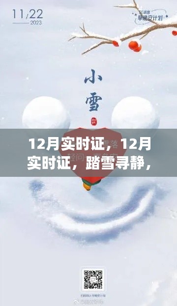 心灵之旅，踏雪寻静，探寻十二月实时证的奥秘