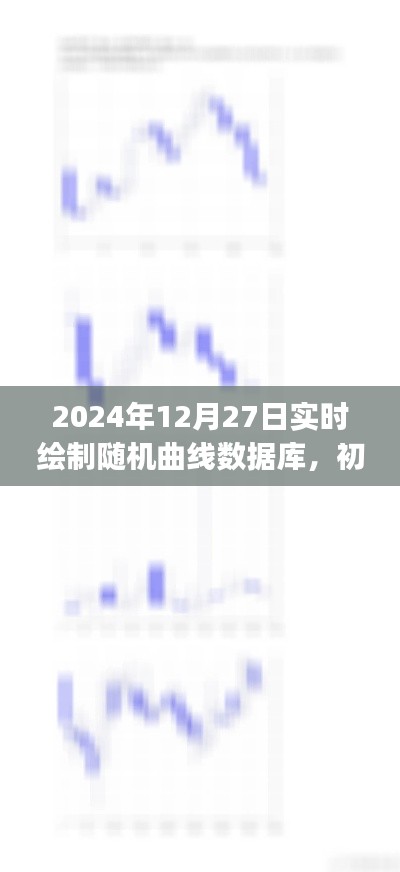 2024年实时绘制随机曲线数据库，初学者与进阶用户指南及详细步骤解析