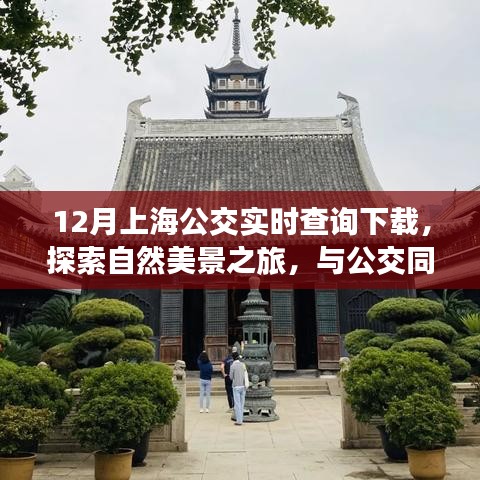 上海公交实时查询下载，城市与自然交织的宁静之旅指南