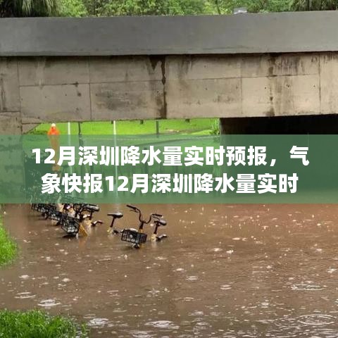 12月深圳降水量实时气象预报，掌握天气变化，降雨应对轻松掌握