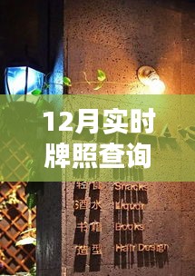 探秘隐藏宝藏，一家与众不同的实时牌照查询店，十二月实时查询服务开启