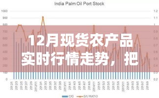 12月现货农产品行情走势分析与励志篇章，顺势而为，把握机遇