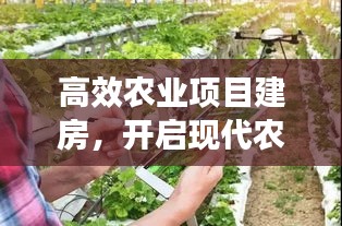 高效农业项目建房，开启现代农业新篇章