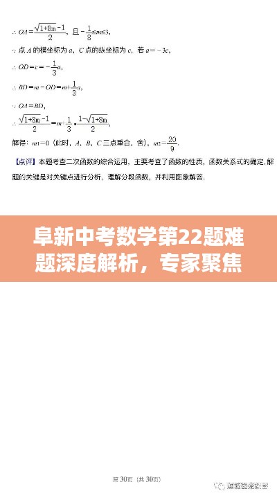 阜新中考数学第22题难题深度解析，专家聚焦专题解析来袭！