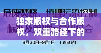 独家版权与合作版权，双重路径下的版权保护探索