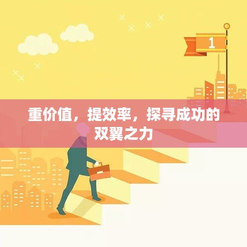 重价值，提效率，探寻成功的双翼之力