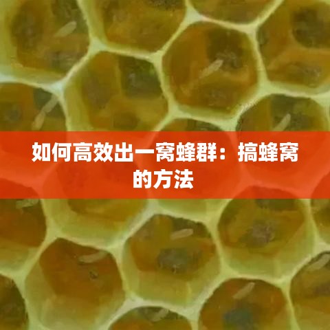 如何高效出一窝蜂群：搞蜂窝的方法 