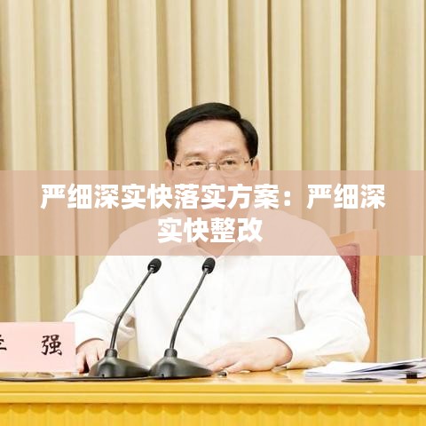 严细深实快落实方案：严细深实快整改 