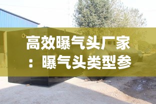 高效曝气头厂家：曝气头类型参数 