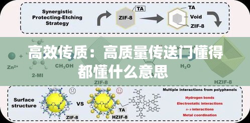 高效传质：高质量传送门懂得都懂什么意思 