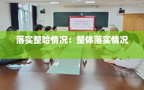 落实整哈情况：整体落实情况 