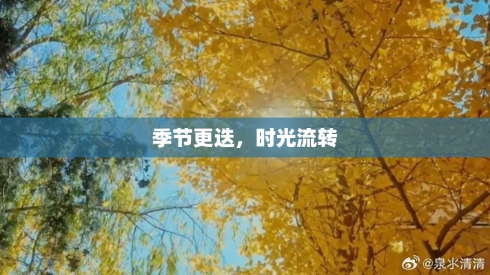 季节更迭，时光流转