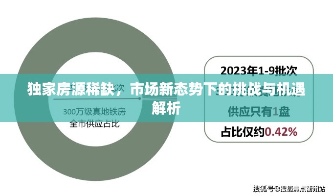 独家房源稀缺，市场新态势下的挑战与机遇解析