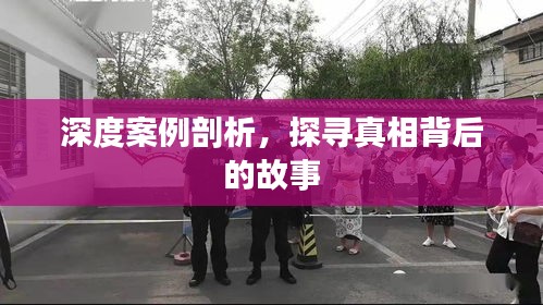 深度案例剖析，探寻真相背后的故事