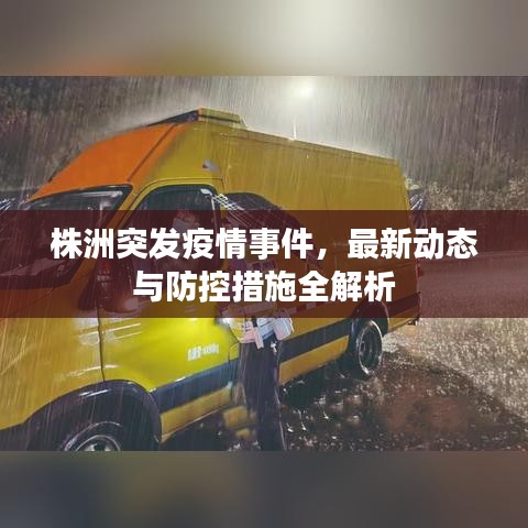 株洲突发疫情事件，最新动态与防控措施全解析